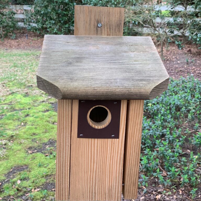Song Bird Nest Boxes