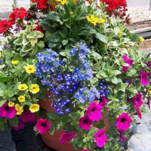 Decorator planter